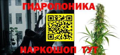 крисы Балахна