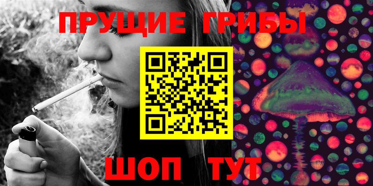 Владимир  магазин продажи   Псилоцибиновые грибы GOLDEN TEACHER  Вход с VPN  Псилоцибиновые грибы мухоморы 