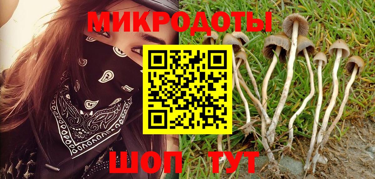 ГАШ Владимир