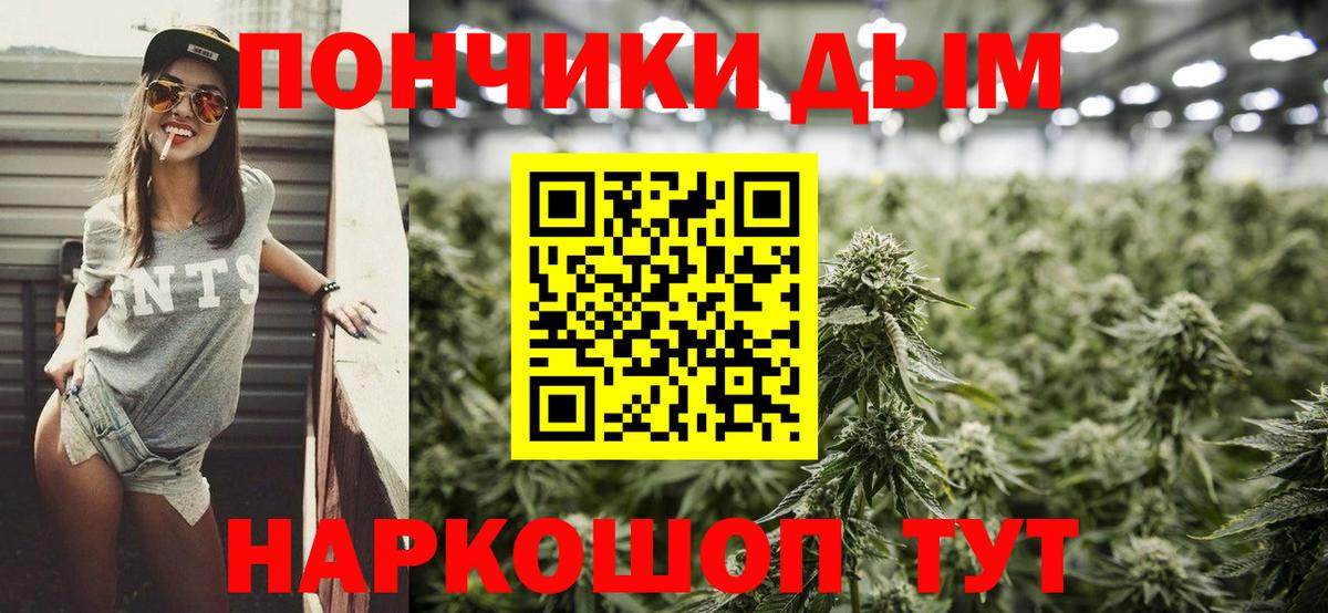 Конопля SATIVA & INDICA Владимир